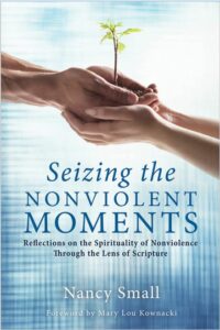 Seizing the Nonviolent Moments Book Photo