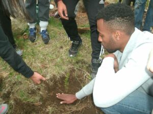 student-hands-in-soil-tree