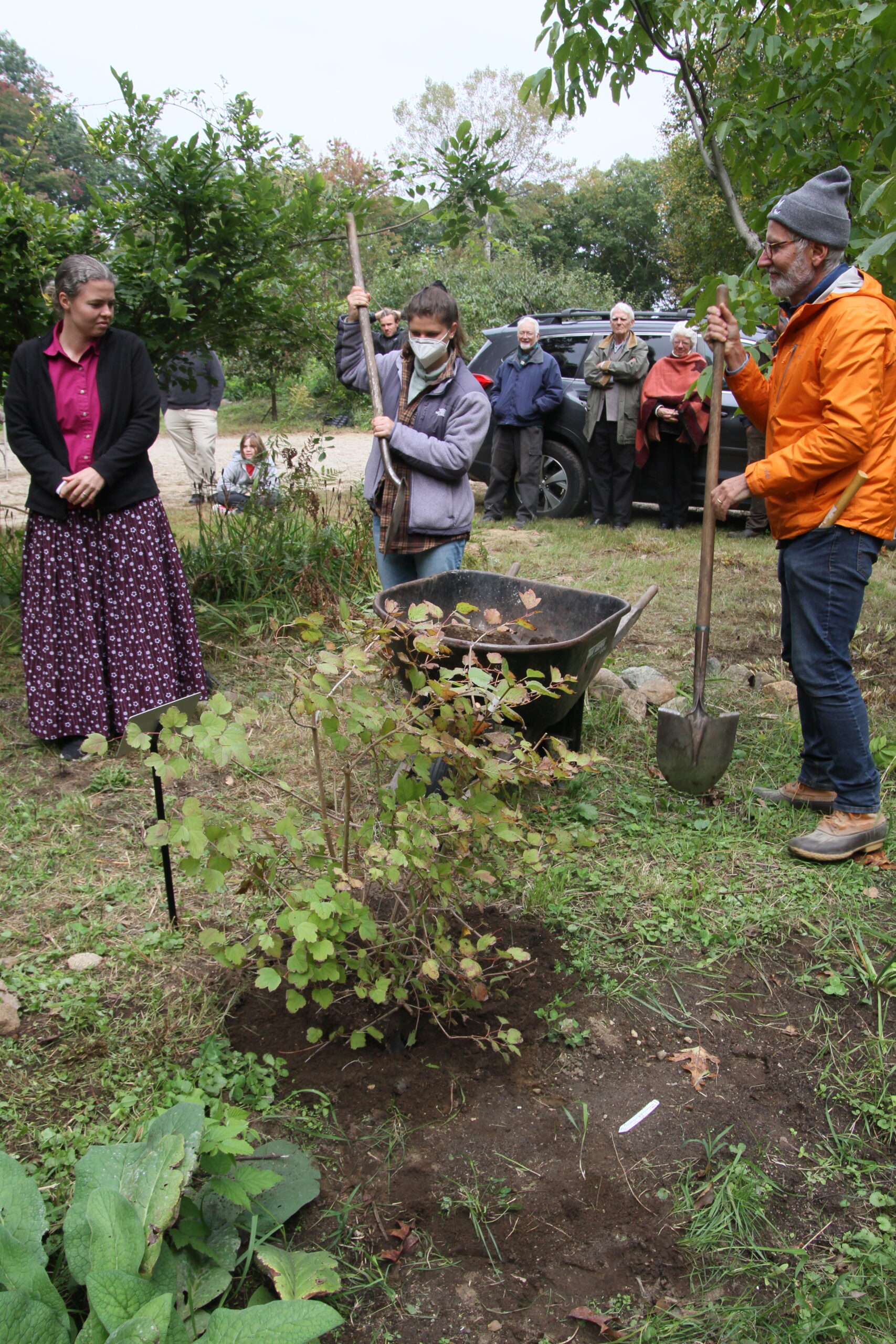 Louisa, center, planting the Cranberry Bush dedicated to the next generation