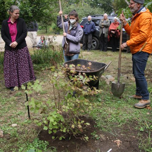 Louisa, center, planting the Cranberry Bush dedicated to the next generation